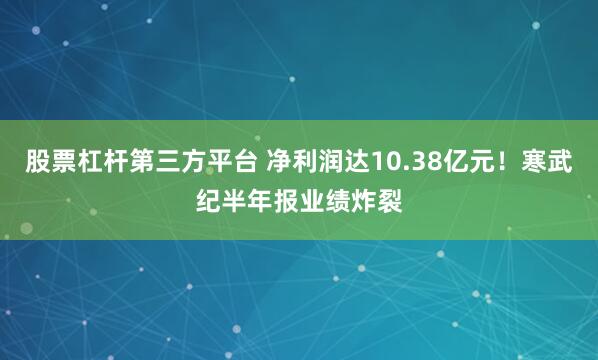 股票杠杆第三方平台 净利润达10.38亿元！寒武纪半年报业绩炸裂
